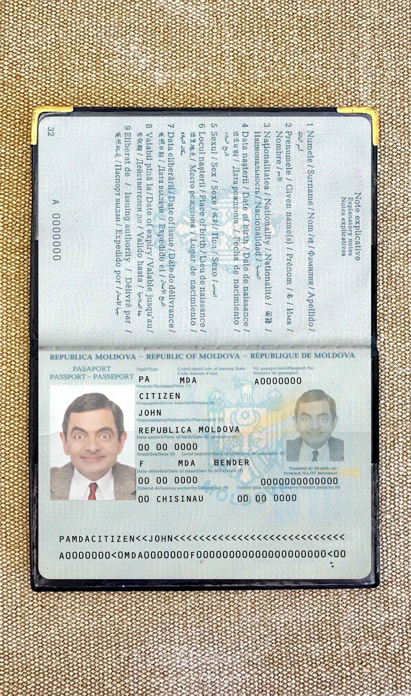 Moldova pass photo look PSD template